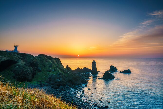 1-Day Jeju Shore Excursion – UNESCO Highlights for Cruise Guests - Key points to know before you book