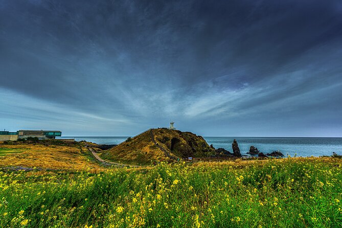 1-Day Jeju Shore Excursion – UNESCO Highlights for Cruise Guests - Seopjikoji: coastal views with less climbing
