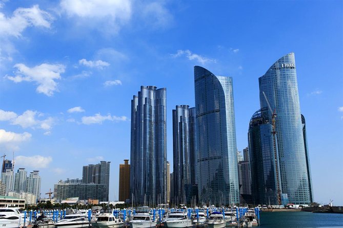10day Small Group Discover Korea Tour : History, Food and Culture - Day 8: Seoul palaces, markets, and city views