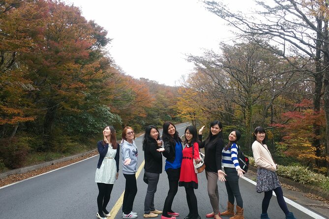 2 Days Jeju Island Private Taxi Tour (East/West of Jeju Island ) - Who should book this Jeju taxi tour?