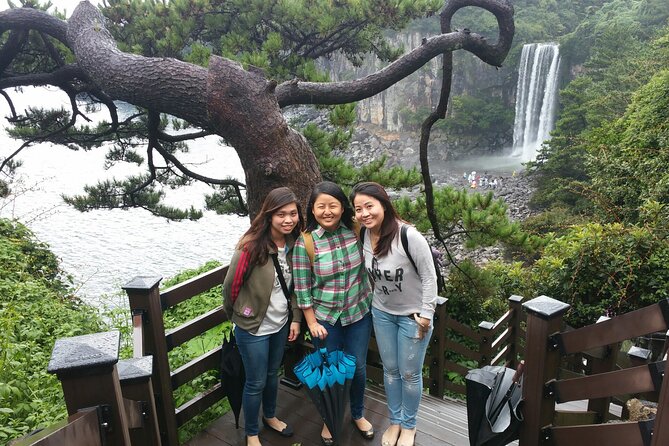 2 Days Private Taxi Tour - West and South of Jeju Island - Why a private taxi makes sense on Jeju
