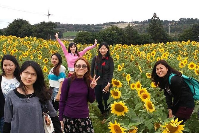 2 Days Private Taxi Tour - West and South of Jeju Island - Day one: beaches, gardens, tea, and the southwest coast