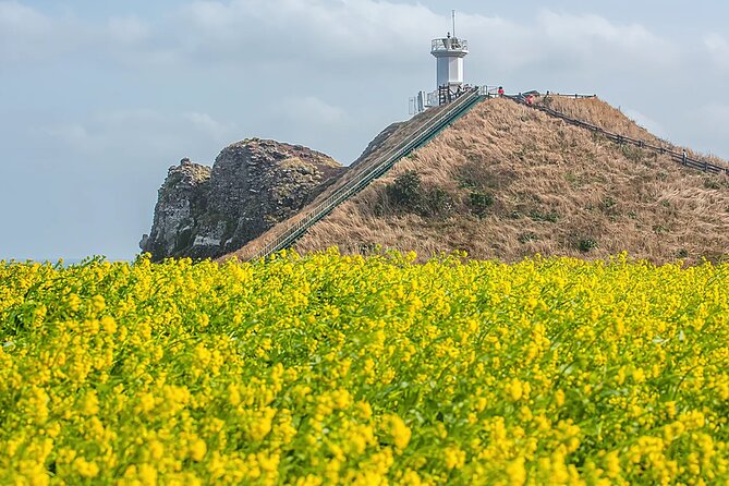 2026 JEJU Cherry Blossom West&South Full Day Tour with UNESCO - Nonjitmul Freshwater Beach and the Yerae coast