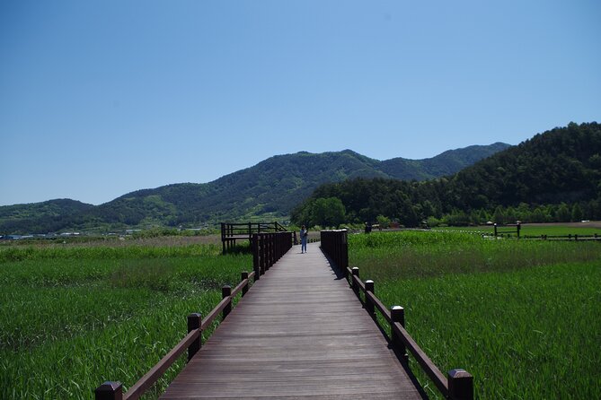 3-Day Korea Western course by K-shuttle Tour from Seoul to Busan - The coach, guide, and pace