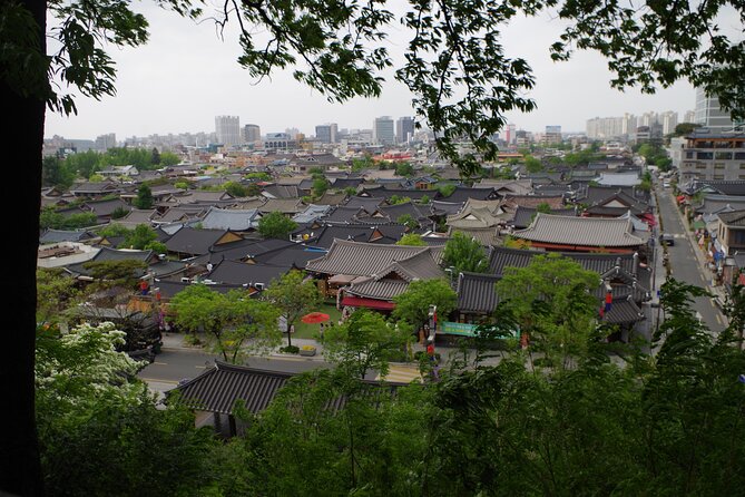 3-Day Korea Western course by K-shuttle Tour from Seoul to Busan - Who should book this trip