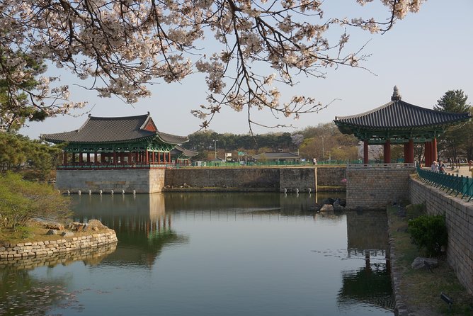 3-Days 2-Nights Gyeongju UNESCO Sites & Busan City [Private Tour from Seoul] - Who should book this three-day experience?