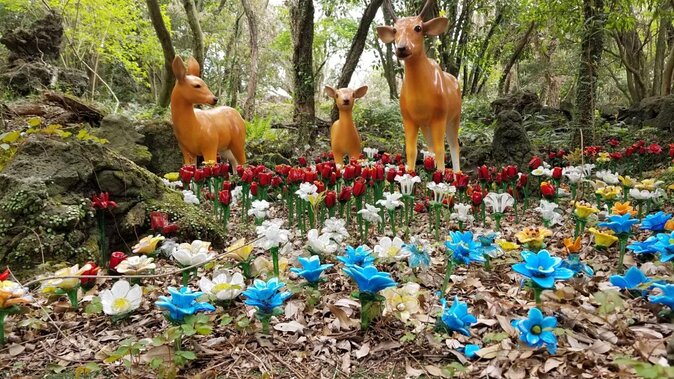 3 days Private Taxi Tour in Jeju Island - Key points at a glance