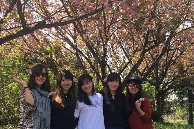 3 days Private Taxi Tour in Jeju Island - The driver matters as much as the route