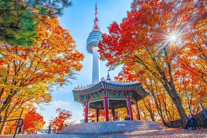 7 days Flexible Tour for Major Cities(Seoul,Busan,Gyeongju etc) - Day 2: Seoul views, temples, Gangnam, and the Han River