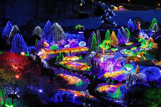 All Day Private Make your own plan tour to Nami Island and others - Why this private Gapyeong day trip works