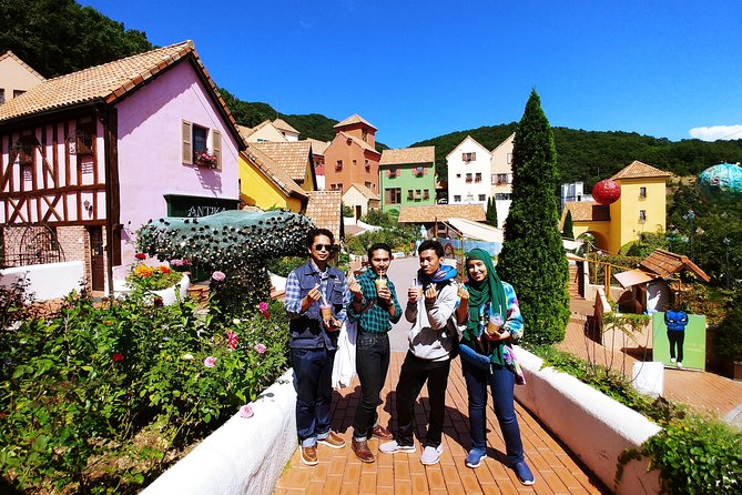 All Day Private Make your own plan tour to Nami Island and others - Winter sledding at Gapyeong