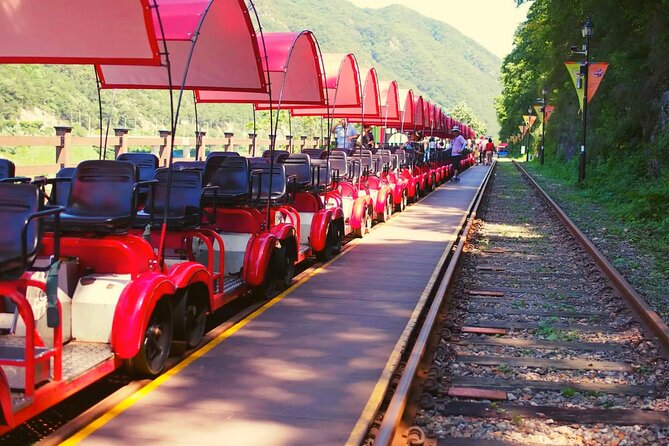 Alpaca World and Nami Island with Gangchon Rail Bike Tour - One long day beyond Seoul