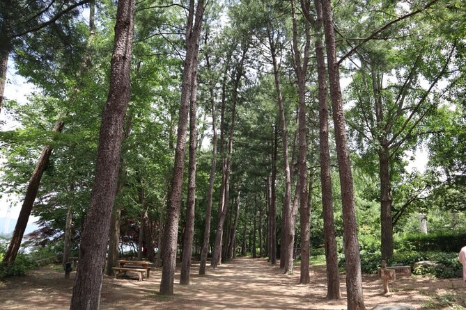 Alpaca World and Nami Island with Gangchon Rail Bike Tour - Pedaling the Gangchon Rail Park