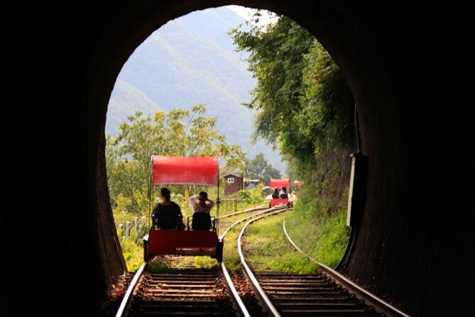 Alpaca World and Nami Island with Gangchon Rail Bike Tour - Why the guides matter