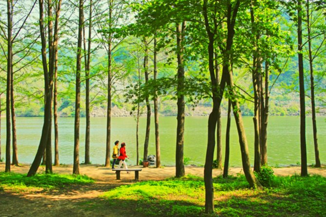 Alpaca World and Nami Island with Gangchon Rail Bike Tour - Nami Island and its tree-lined roads