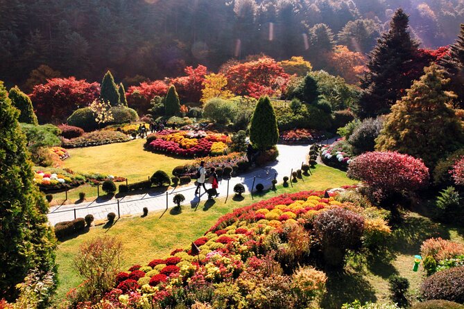 Alpaca World & Nami Island & Garden of Morning Calm One Day Tour - Why this one-day escape works