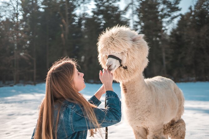 Alpaca World & Nami Island & Garden of Morning Calm One Day Tour - The Garden of Morning Calm is the quiet finish