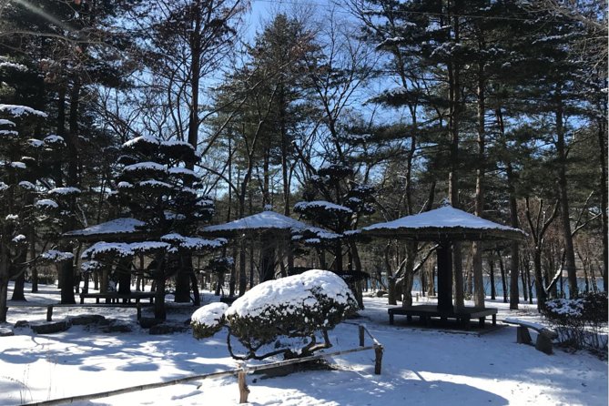 Alpaca World & Nami Island & Garden of Morning Calm One Day Tour - Is $78.52 a fair price?