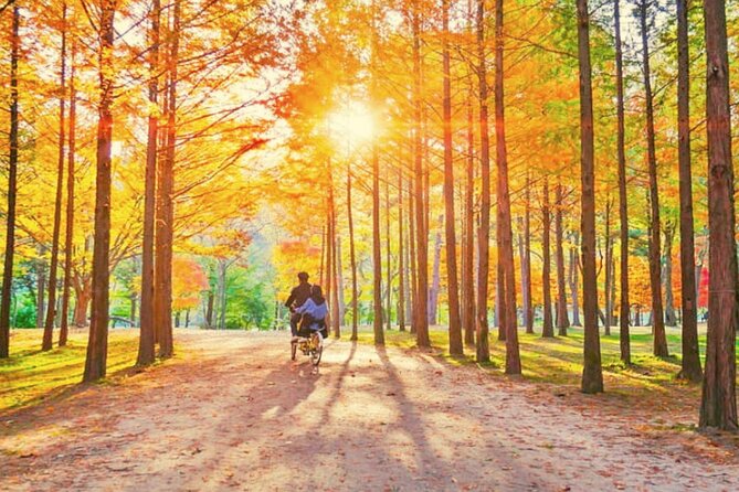 Alpaca World & Nami Island & Garden of Morning Calm One Day Tour - Who should book this countryside day?