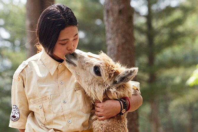 Alpaca World & Nami Island & Garden of Morning Calm One Day Tour - Alpaca World brings the most hands-on fun