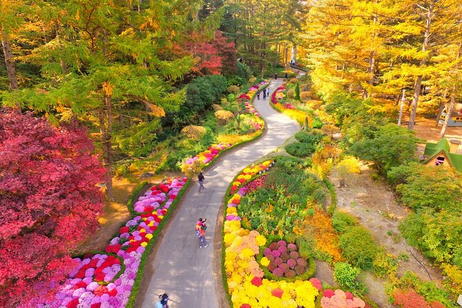 Alpaca World Tour with Nami Island (optional Railbike or Garden) - Gangchon Rail Park beside the North Han River