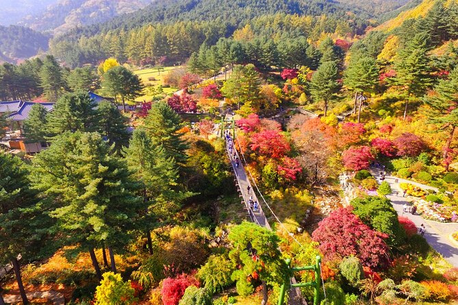Alpaca World Tour with Nami Island (optional Railbike or Garden) - Garden of Morning Calm, flowers by day and lights in winter