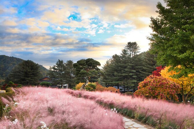 Alpaca World Tour with Nami Island (optional Railbike or Garden) - Guides can make the long day work