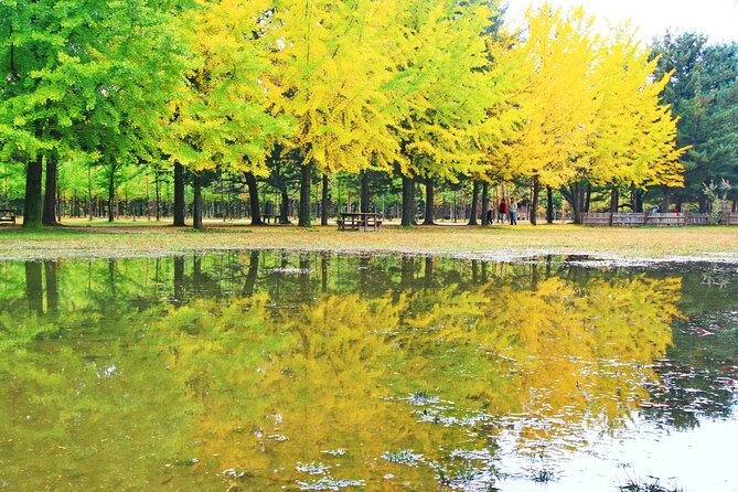 Alpaca World Tour with Nami Island (optional Railbike or Garden) - Traffic is the main weakness