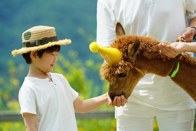 Alpaca World Tour with Nami Island (optional Railbike or Garden) - Nami Island and its tree-lined roads