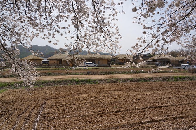 Andong Hahoe Folk Village [UNESCO World Heritage] Private Tour from Seoul - Lunch, comfort, and the details worth confirming