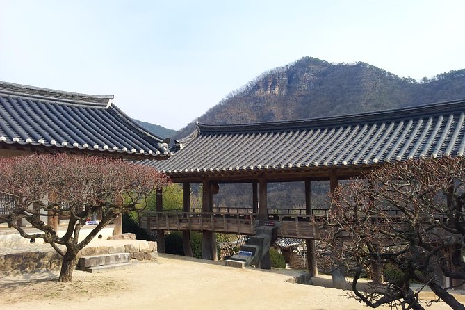 Andong Hahoe Village [UNESCO site] Premium Private Tour from Seoul - Walking through Andong Hahoe Folk Village