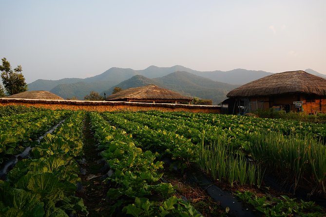 Andong Hahoe Village [UNESCO site] Premium Private Tour from Seoul - What the Hahoe Mask Museum adds