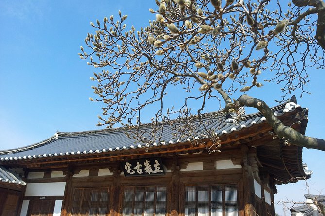 Andong Hahoe Village [UNESCO site] Premium Private Tour from Seoul - How the guide can shape the experience