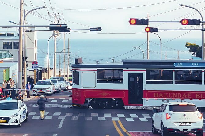 Authentic Busan Full-Day City Highlights Tour - Key points to know before booking