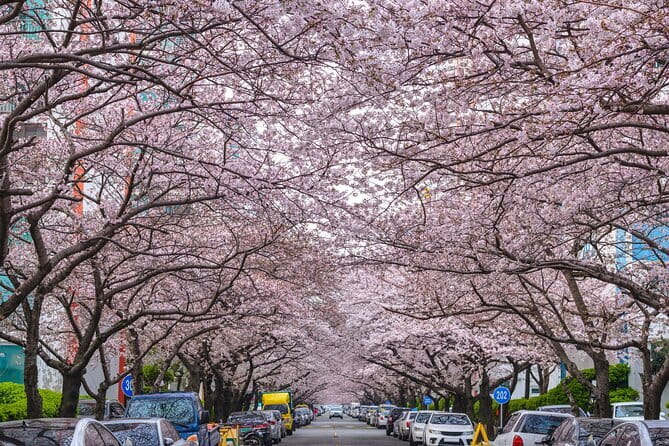 Authentic Busan Full-Day City Highlights Tour - Two hours around Haeundae Blue Line Park