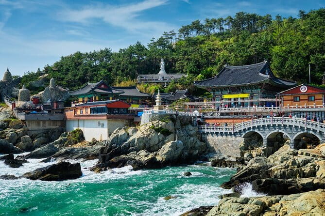 Authentic Busan Full-Day City Highlights Tour - The UN Memorial Cemetery, a quiet and moving pause
