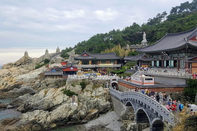 Authentic Busan Full-Day City Highlights Tour - Guides, storytelling, and the human side of the day