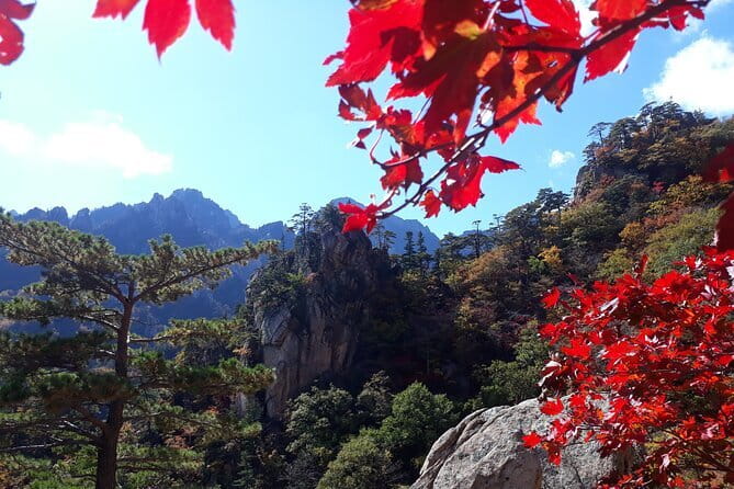 Autumn Foliage-Mt. Seorak, Sokcho Fish Market, Sokcho Beach - Why Seoraksan makes this day trip worthwhile