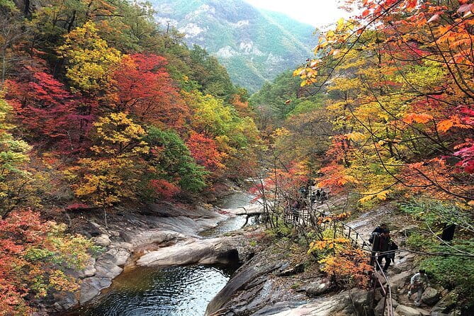 Autumn Foliage-Mt. Seorak, Sokcho Fish Market, Sokcho Beach - The drive from Seoul and what the $68 price covers