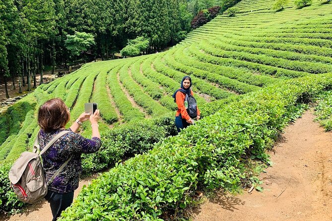 Boseong Tour : Green Tea Field, Mountain & Lake Trail (Private) - How Veronica shapes the private experience