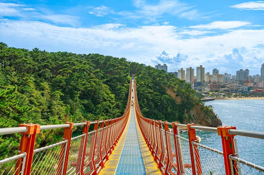 Busan: 7 Highlights Gyeongju City One Day Tour - Key points to know before booking