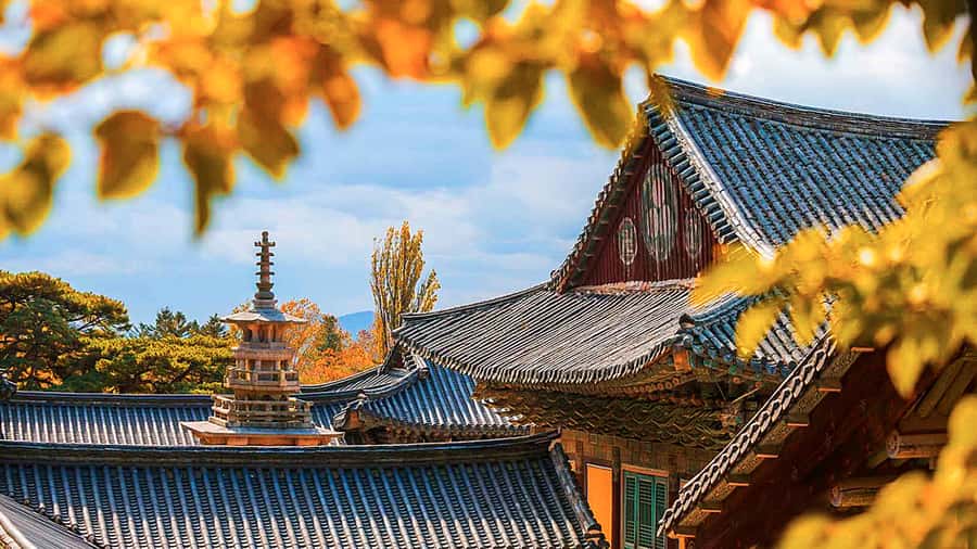 Busan: 7 Highlights Gyeongju City One Day Tour - Daereungwon: walking among Silla royal tombs