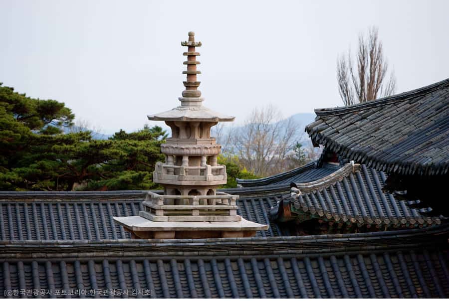 Busan: 7 Highlights Gyeongju City One Day Tour - Cheomseongdae and the science of Silla