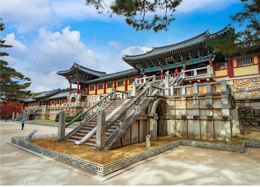 Busan: 7 Highlights Gyeongju City One Day Tour - Woljeonggyo: the day’s most atmospheric photo stop