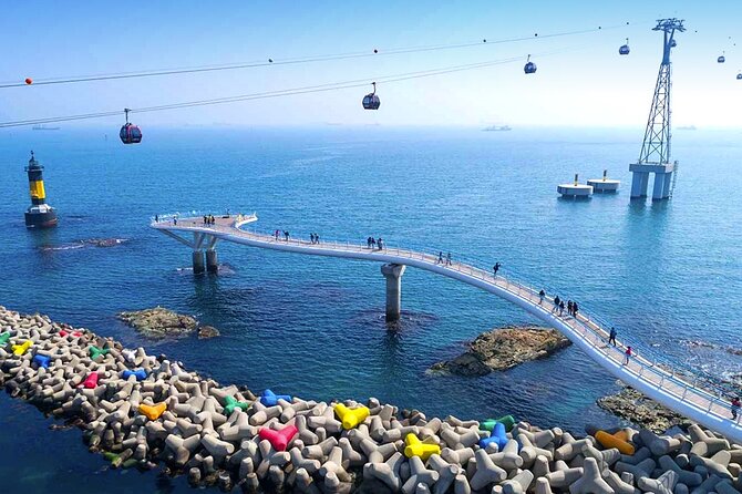 Busan 9 Highlights Tour - Key points to know before booking