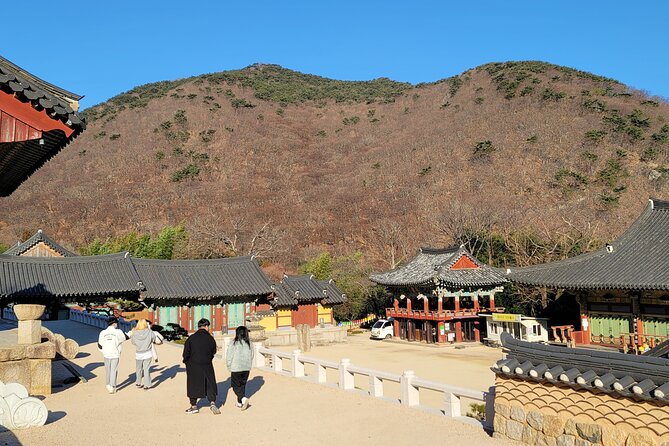 Busan Beomeosa Temple & Hongbeopsa Temple with temple lunch - Who should book this experience?