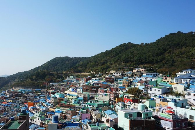 Busan city tour from Seoul by KTX bullet train - Key points to know before booking