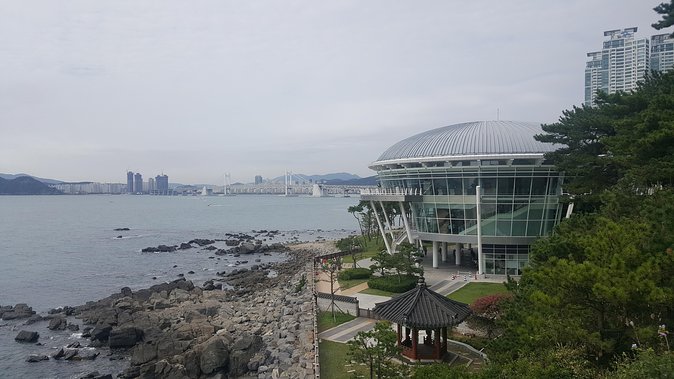 Busan city tour from Seoul by KTX bullet train - Why this Seoul to Busan day trip works