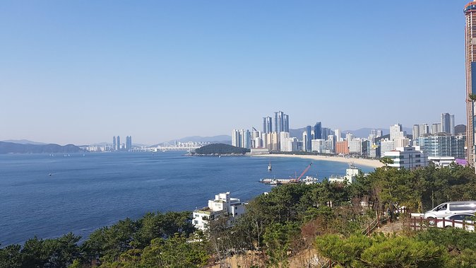Busan city tour from Seoul by KTX bullet train - A private guide can reshape the day