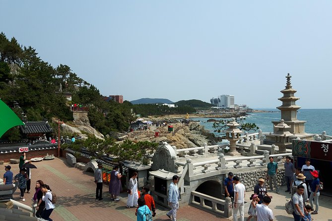 Busan city tour from Seoul by KTX bullet train - Jagalchi Market: Busan’s seafood heart